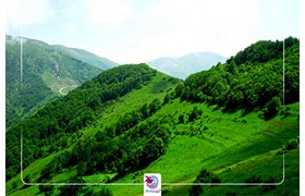 جنگل ارسباران - تبریز