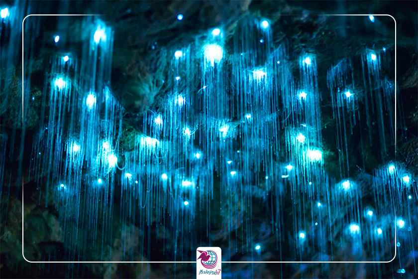 غار رویایی وایتومو گلوورم در نیوزلند